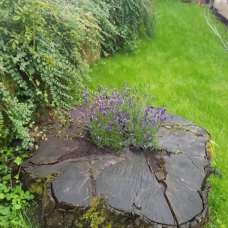Sweet Homestay Sarstedt